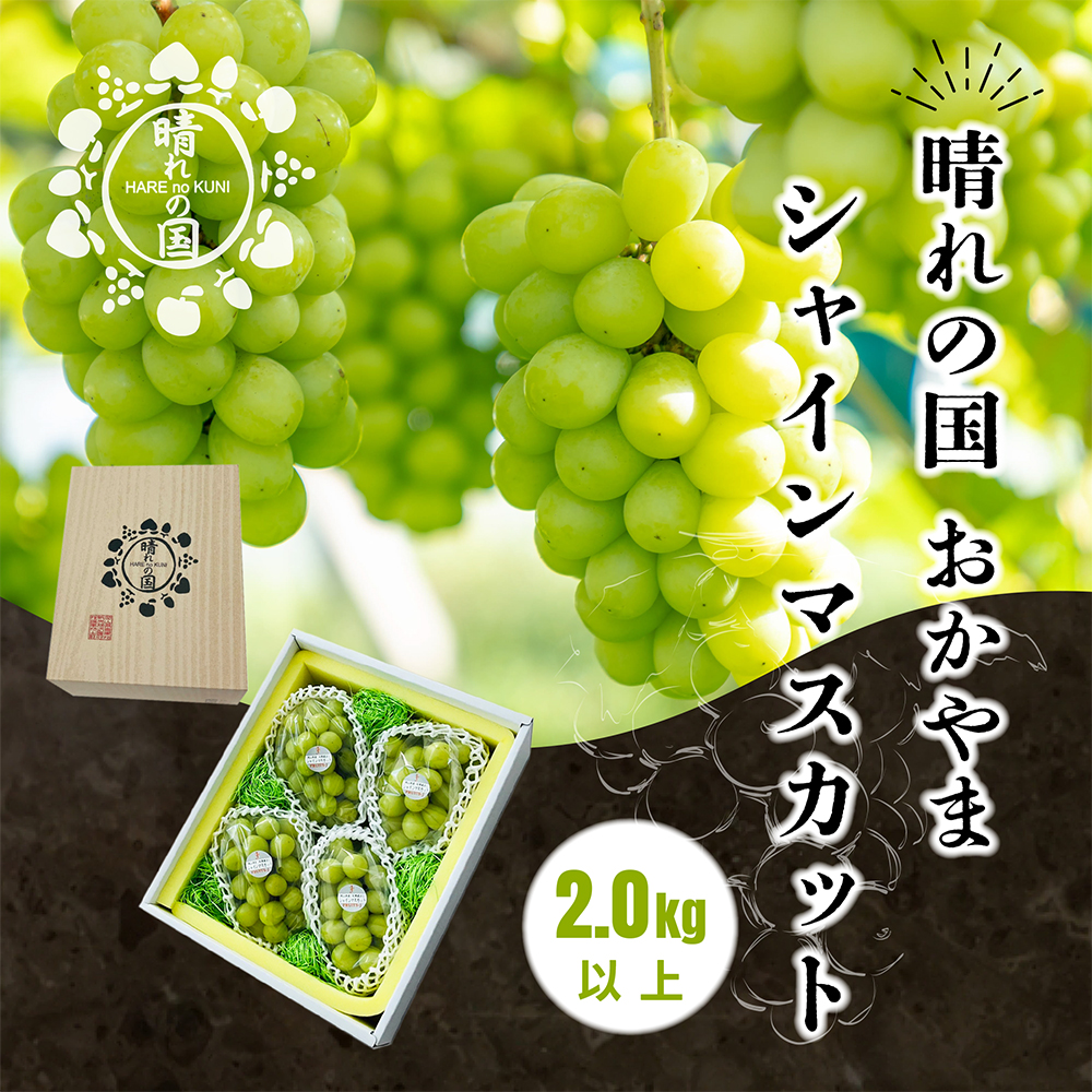 【先行予約 2025年9月上旬発送】岡山県産シャインマスカット 2.0kg(3から4房)【021-a021】岡山県鏡野町22000果物・フルーツマスカット・ぶどう