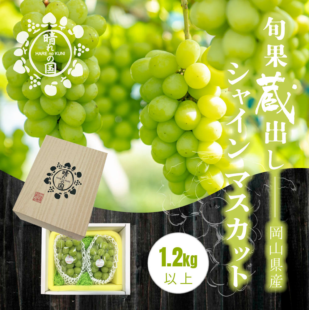 【先行予約 2025年12月上旬から2026年1月発送】旬果蔵出し 岡山県産シャインマスカット 1.2kg以上(2から3房)【021-a022】岡山県鏡野町24000果物・フルーツマスカット・ぶどう