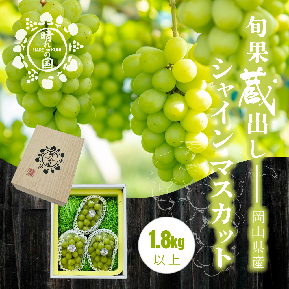 【先行予約 2025年12月上旬から2026年1月発送】旬果蔵出し 岡山県産シャインマスカット 1.8kg以上(3から4房)【021-a023】岡山県鏡野町31000果物・フルーツマスカット・ぶどう