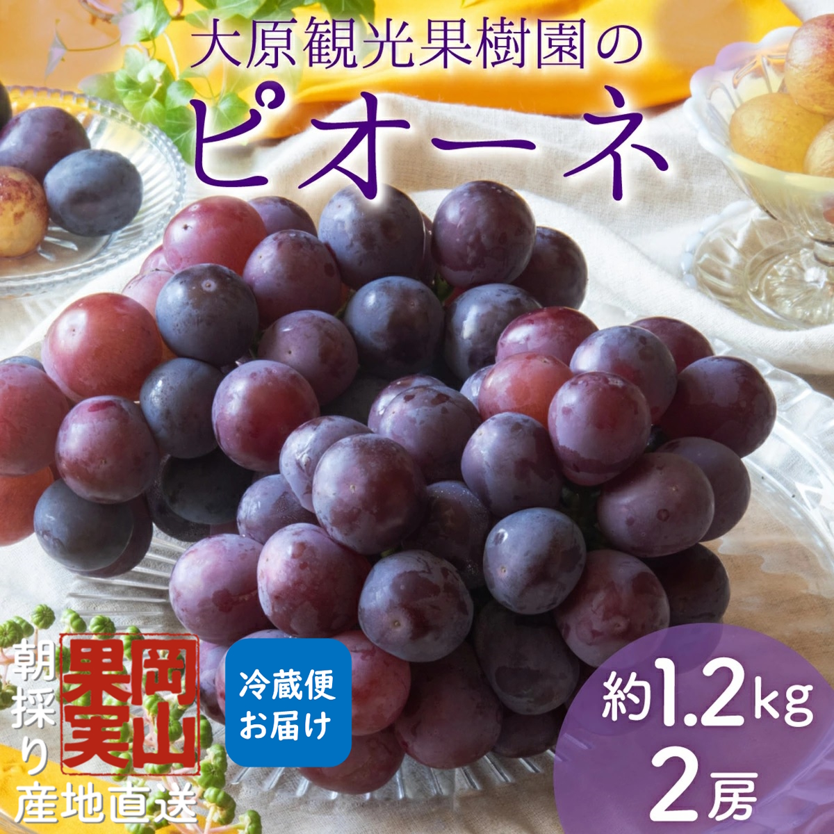 y2025Ns\zm匴όʎnsI[l 2[i1.2kgjy026-a012zR쒬12000ʕEt[c}XJbgEԂǂ