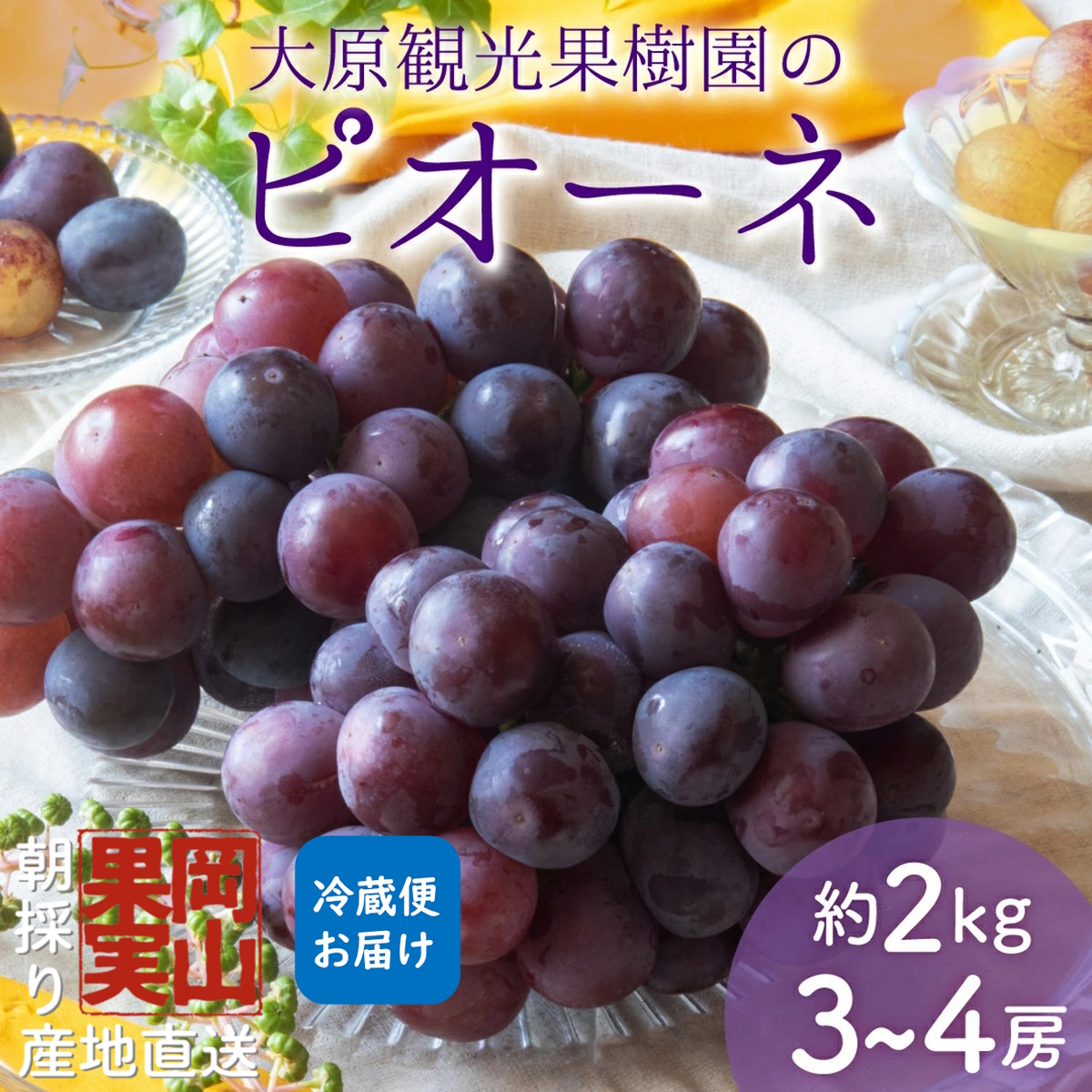 y2025Ns\zm匴όʎnsI[l 3`4[i2kgjϔy026-a013zR쒬19000ʕEt[c}XJbgEԂǂ