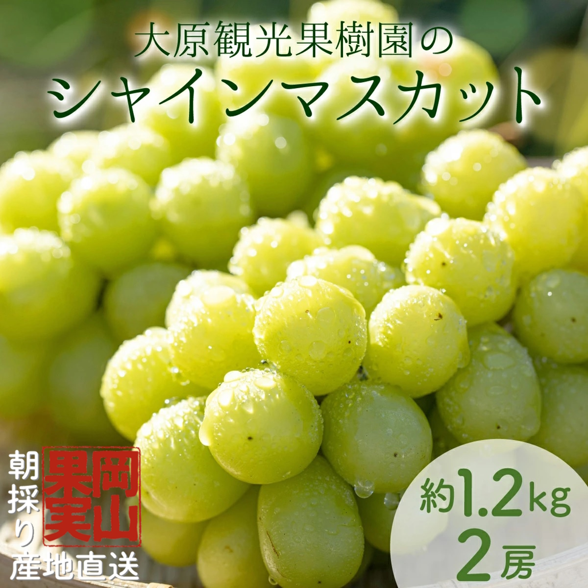 y2025Ns\zm匴όʎnVC}XJbg 2[i1.2kgjy026-a014zR쒬15000ʕEt[c}XJbgEԂǂ