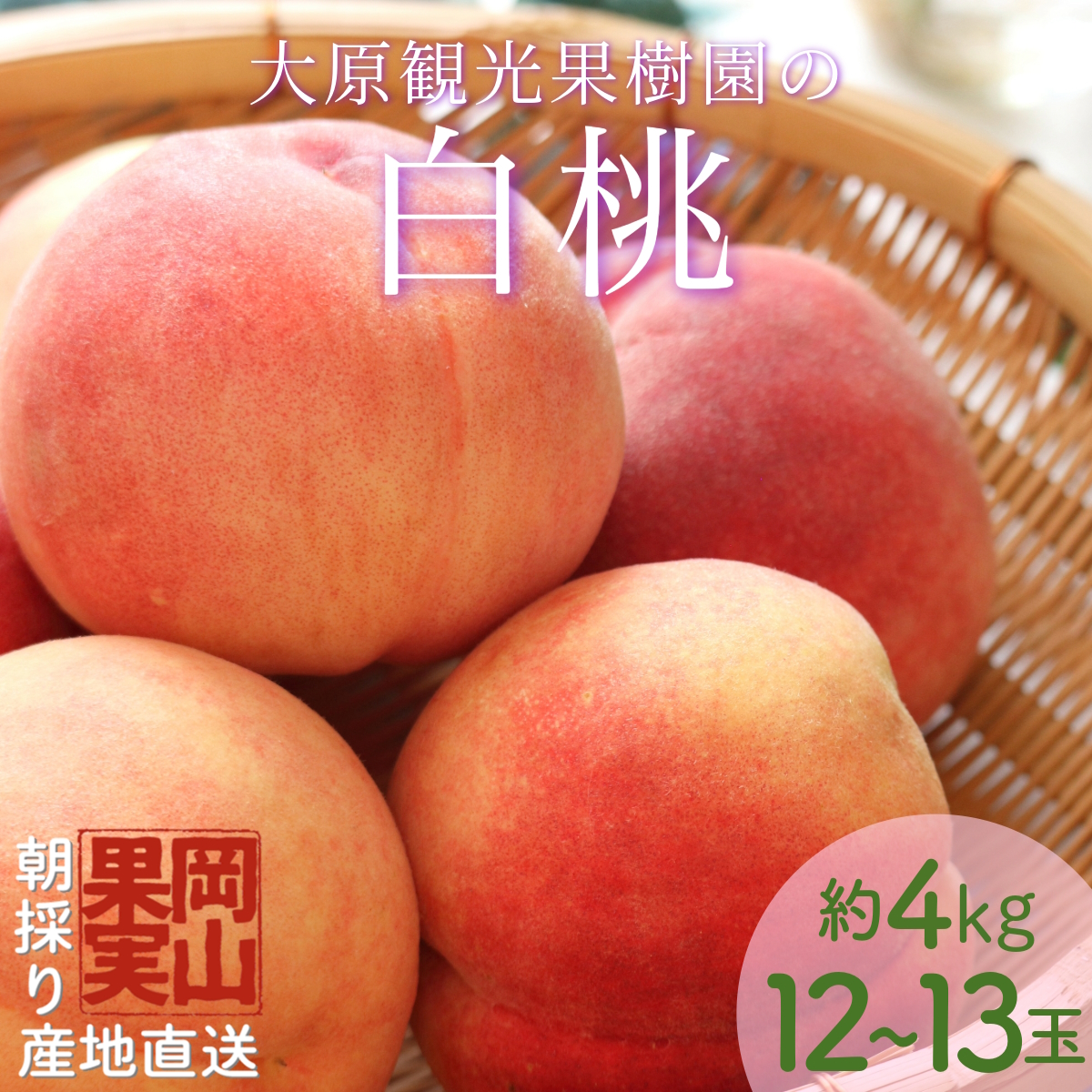 yʌzm匴όʎnRY {̒̂ꔒ 1i4kg 12`13ʁjy2025Nzy026-a021zR쒬29000ʕEt[cE