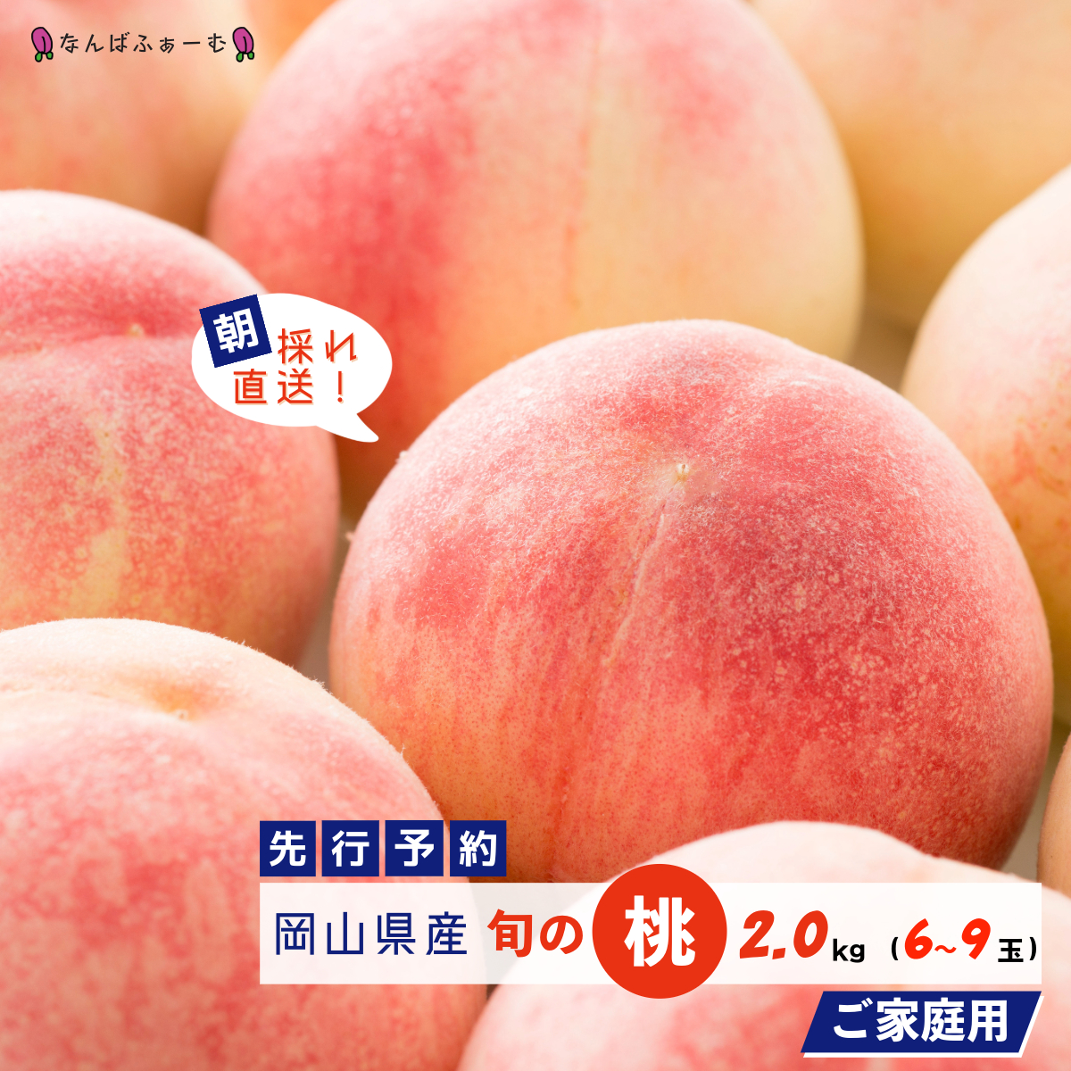 yʌzmȂ΂ӂ[ށnRY {̓ 2.0kgi6`9ʁjmƒpny2025Nzy039-a001zR쒬14000ʕEt[cE