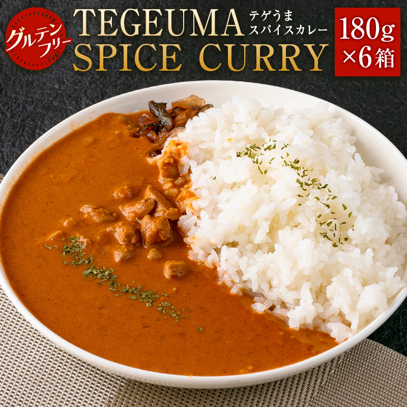 グルテンフリー 無水チキンカレー TEGEUMA SPICE CURRY(テゲうまスパイスカレー)180g×6箱【B595】宮崎県新富町14000鍋セット・総菜・加工食品カレー・シチュー