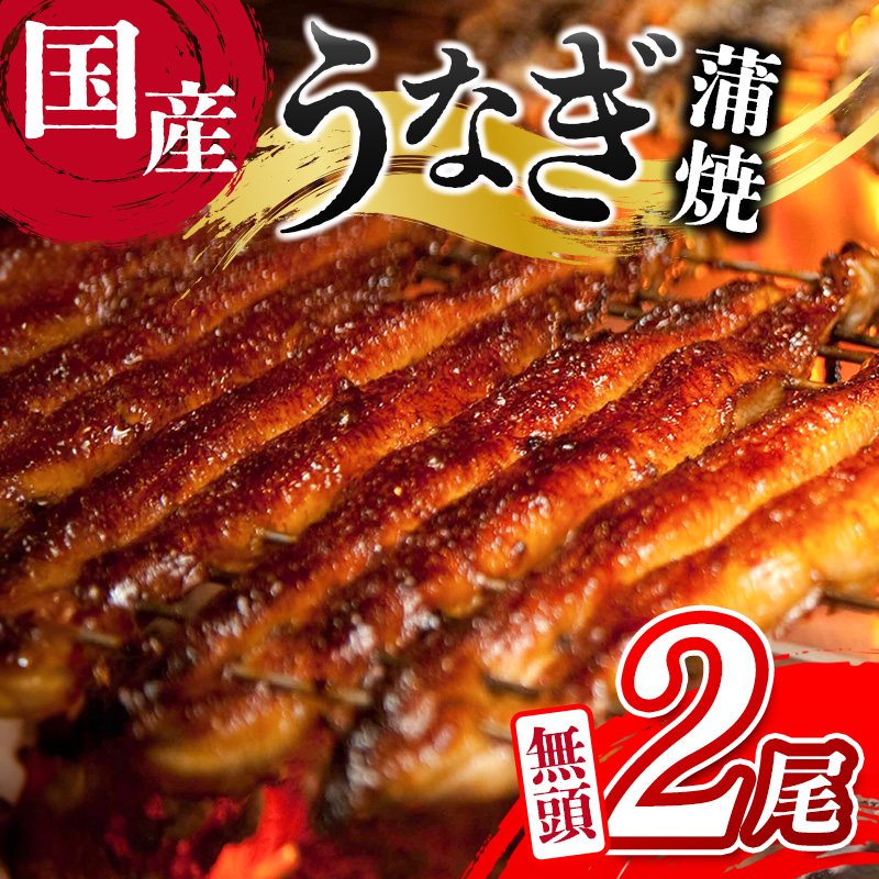 m2025N11͂nƒpȂ Vy Y  2 v240gȏi120g×2j Ⓚ ȒP  V yB666-2511z{茧Vx11000ECY
