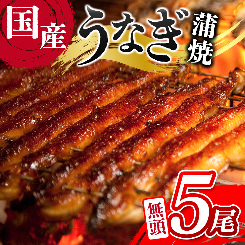m2025N12͂nƒpȂ Vy Y  5 v650gȏi130g×5j Ⓚ ȒP  V yD144-2512z{茧Vx25000ECY