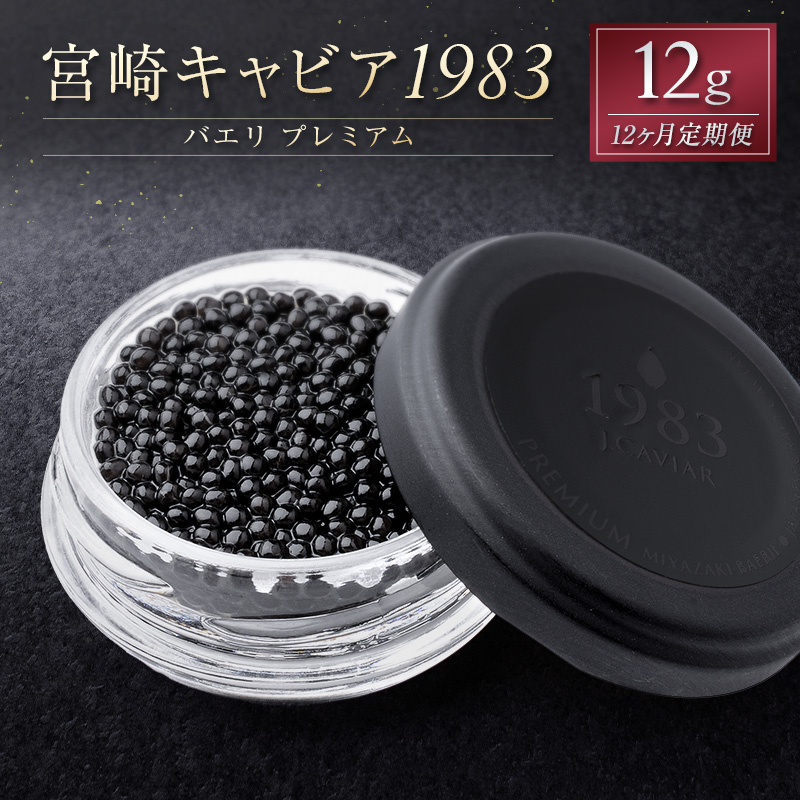 m12ցn{LrA1983 oG v~A 12g×12 i {茧Y   YyG56z{茧Vx501000ECYqȆ
