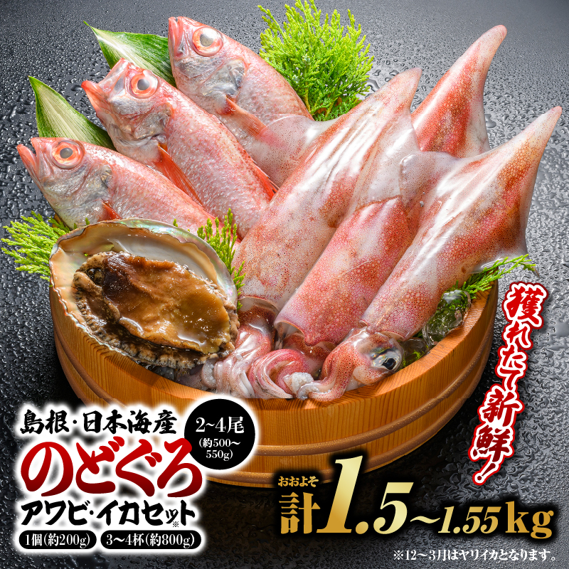 鮮魚セットA【のどぐろ2〜4尾(約500g〜550g)・イカ3〜4杯(約800g)・アワビ(約200g×1)】|漁解禁 受付再開  のどぐろ アワビ イカ 島根 山陰 日本海産 魚介類 魚貝類 貝 海産物 魚 さかな あわび ノ