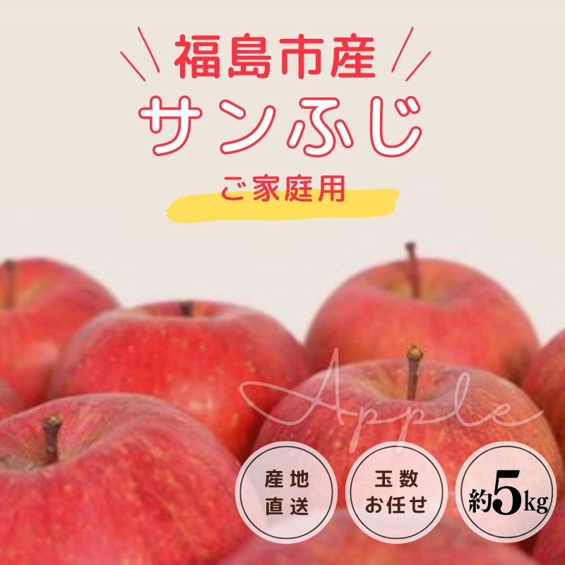 No.1222 りんご「サンふじ」【ご家庭用】約5kg【2025年発送】福島県福島市13000果物・フルーツりんご・梨