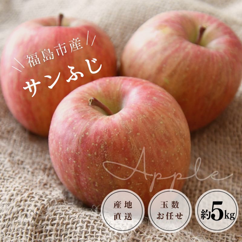 No.1225 りんご「サンふじ」約5kg【2025年発送】福島県福島市16000果物・フルーツりんご・梨