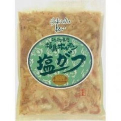 No.1249ふくしまご当地!福島ホルモン 塩がつ 麓山高原豚使用 【10パック入】福島県福島市24000肉加工肉(ハム・ソーセージ等)