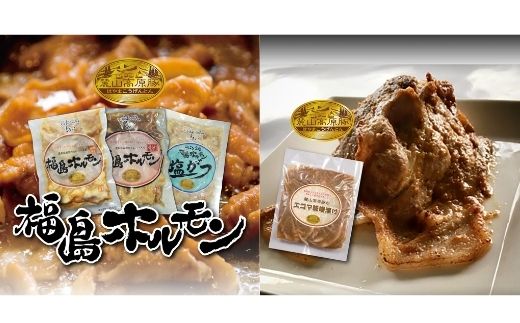 No.1260ふくしまご当地!福島ホルモン3種・エゴマ味噌漬け ふくしまふるさとセット【各5パック、計20パック入】福島県福島市45000肉加工肉(ハム・ソーセージ等)