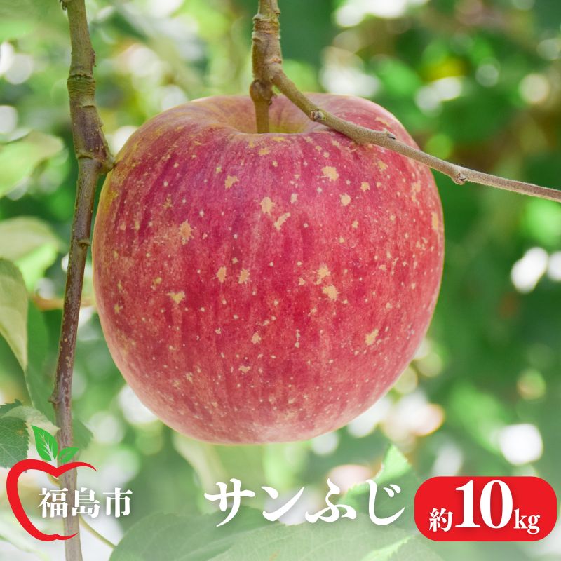 No.1473 りんご「サンふじ」約10kg【2025年度発送】福島県福島市24000果物・フルーツりんご・梨