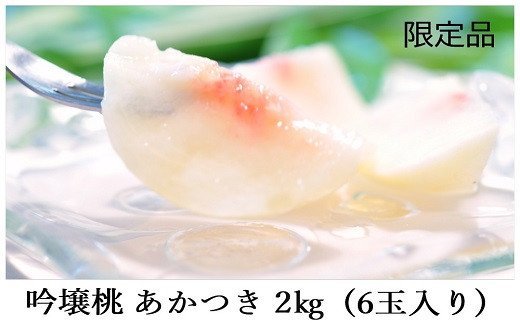 No.1520y50z듍uv 2kgy2025Nzs18000ʕEt[cE