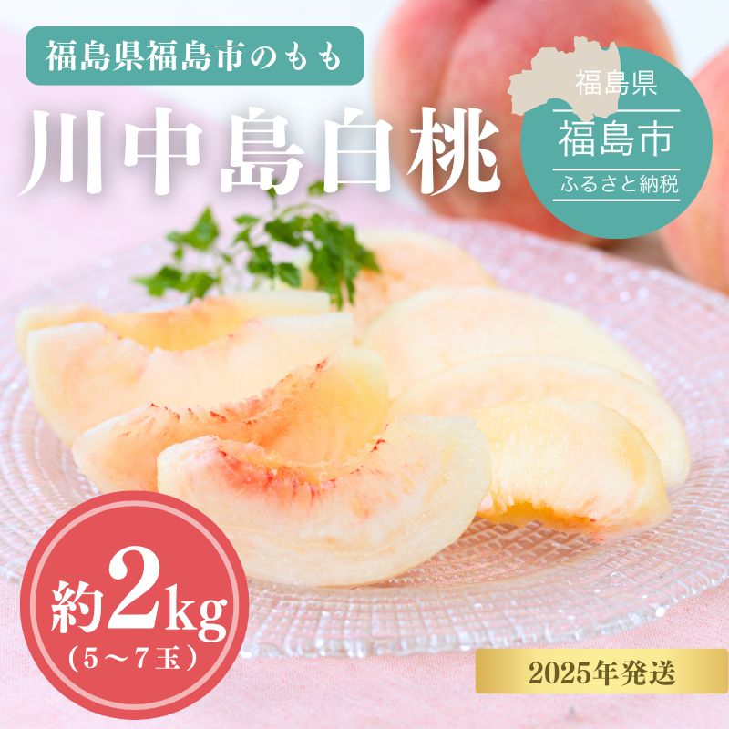 No.1689 쒆 2kgy2025Nzs15000ʕEt[cE