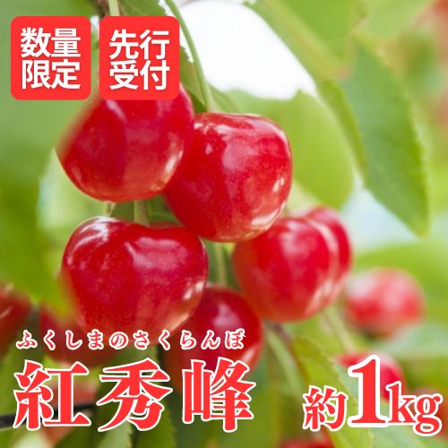 No.1803さくらんぼ(紅秀峰)約1kg【2025年発送】福島県福島市23000果物・フルーツさくらんぼ