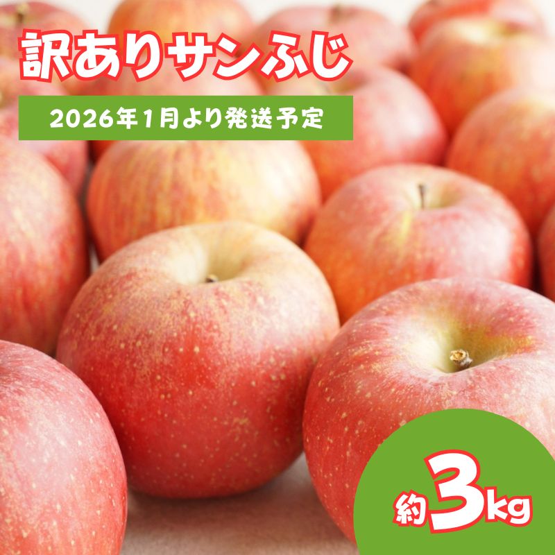 No.2064 りんご「サンふじ」家庭用 約3kg【2026年1月より発送】福島県福島市8000果物・フルーツりんご・梨