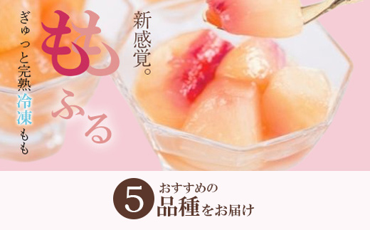 No.2088ももふるセット(5品種)福島県福島市12000菓子・スイーツアイス・ジェラート