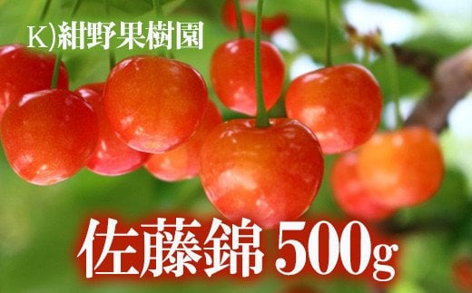 No.2240さくらんぼ「佐藤錦」約500g【2025年発送】福島県福島市17000果物・フルーツさくらんぼ