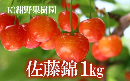 No.2241さくらんぼ「佐藤錦」約1kg【2025年発送】福島県福島市28000果物・フルーツさくらんぼ