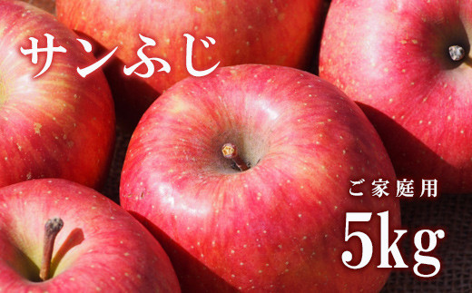 No.2308 りんご「サンふじ」家庭用 約5kg【2025年度発送】福島県福島市20000果物・フルーツりんご・梨