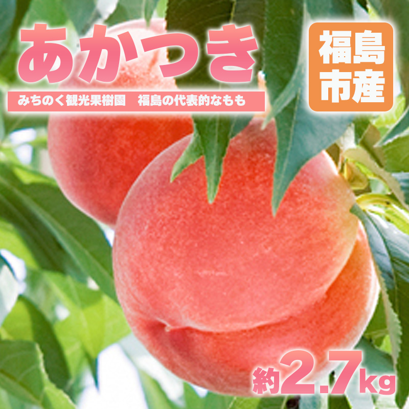 No.2344もも「あかつき」贈答用 約2.7kg【2025年発送】福島県福島市17000果物・フルーツもも・すもも