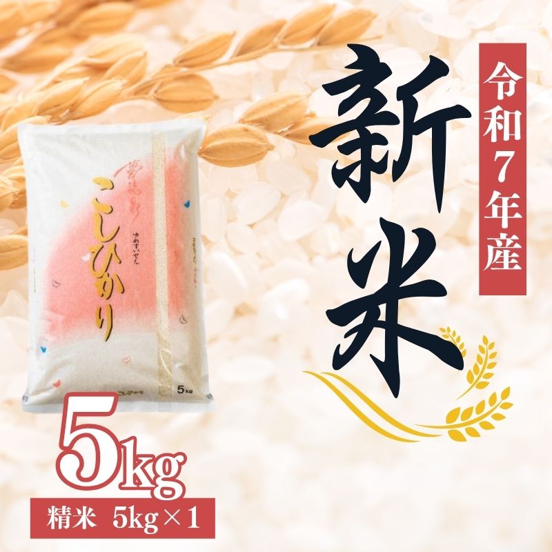 No.2382大文字屋米穀店【令和7年産新米】コシヒカリ精米 5kg福島県福島市23000米・パン白米