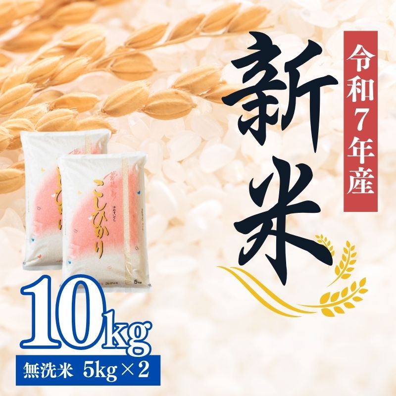 No.2499大文字屋米穀店【令和7年産新米】コシヒカリ精米(無洗米)1等米 10kg福島県福島市43000米・パン無洗米