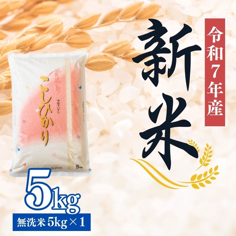 No.2500大文字屋米穀店【令和7年産新米】コシヒカリ精米(無洗米)1等米 5kg福島県福島市23000米・パン無洗米