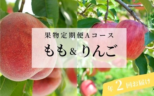 No.2511 くだもの定期便【Aコース/全2回】【2025年発送】福島県福島市39000果物・フルーツりんご・梨