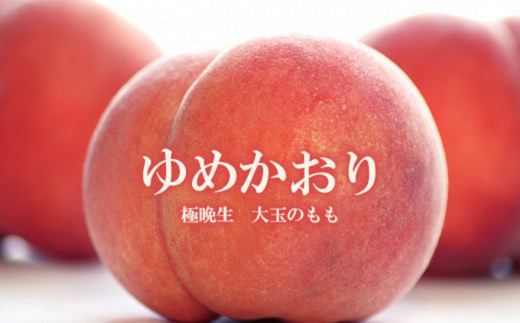 No.2579香り高いもも 硬くて甘い/ゆめかおり 約5kg【2025年発送】福島県福島市24000果物・フルーツもも・すもも