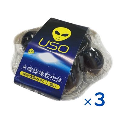 No.2586未確認燻製物体 USO(味付燻製たまご)福島県福島市13000卵・乳製品その他卵・乳製品