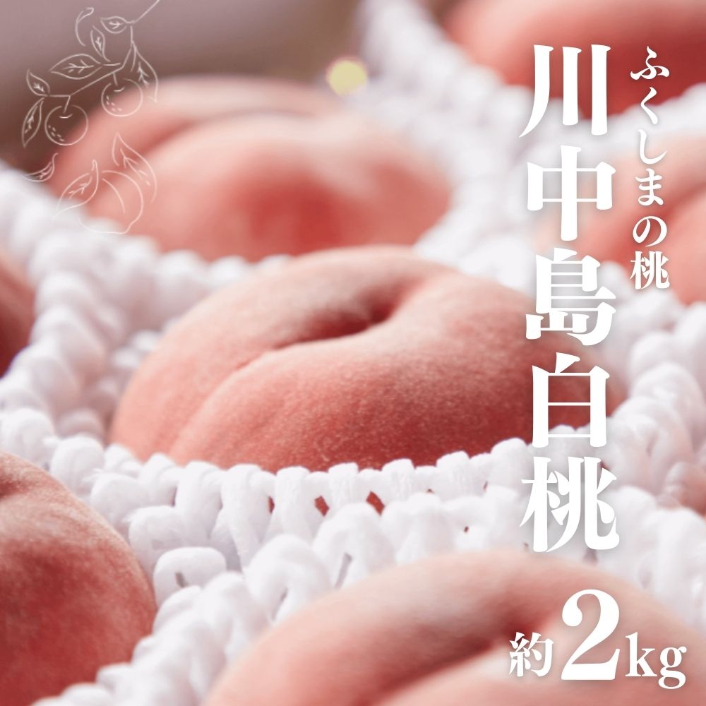 No.2723福島市産 川中島白桃 約2kg【2025年発送】福島県福島市14000果物・フルーツもも・すもも