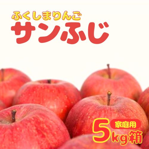 No.2763 りんご「サンふじ」家庭用 約5kg箱入【2025年度発送】福島県福島市10000果物・フルーツりんご・梨