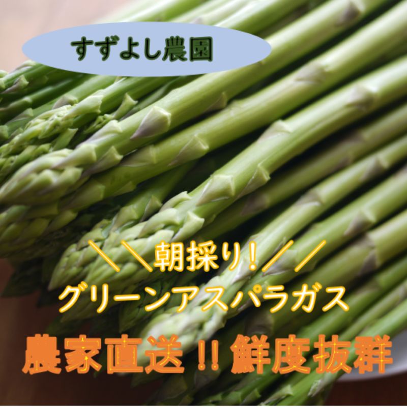 No.2879 【訳あり】アスパラガス1kg サイズ不揃い 曲がり キズあり【2025年発送】福島県福島市10000野菜・きのこその他 野菜