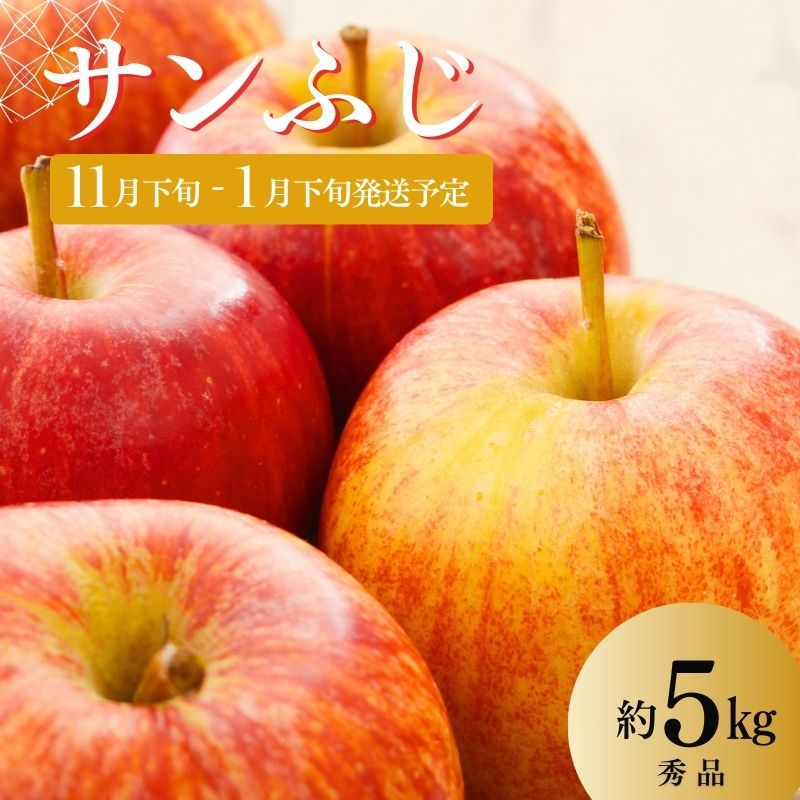No.2966 ししどりんご園 りんご「サンふじ」約5kg 秀品【2025年度発送】福島県福島市17000果物・フルーツりんご・梨