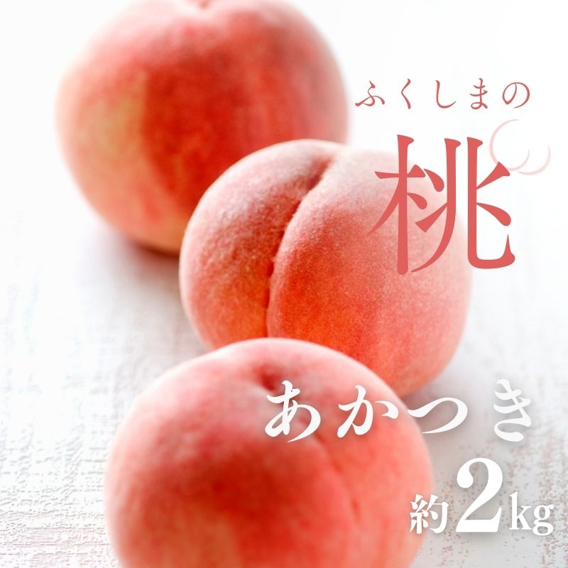 No.2989  sYuv2kg(5`7)y2025Nzs15000ʕEt[cE