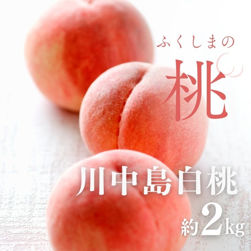 No.2993 「川中島白桃」約2kg(5〜7玉)【2025年発送】福島県福島市15000果物・フルーツもも・すもも