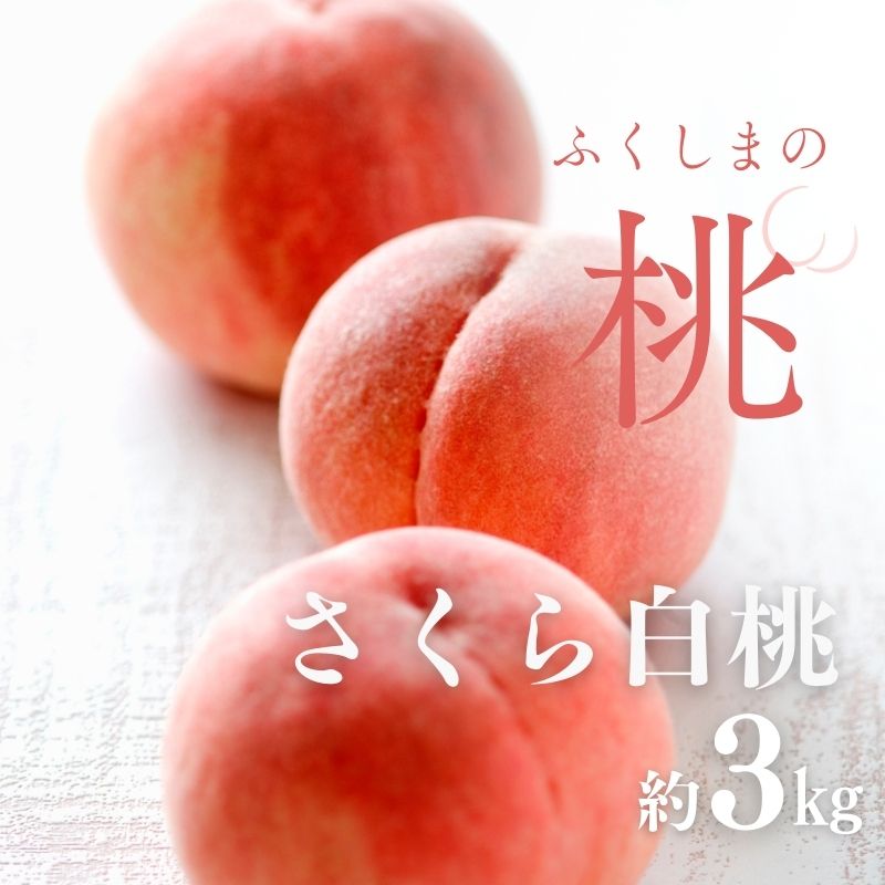 No.2996 甒 sY 3kg(6`10)y2025Nzs18000ʕEt[cE