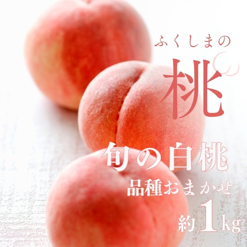 No.2997 福島県福島市産 旬のもも (白桃・品種おまかせ)  約1kg(3〜6玉)【2025年発送】福島県福島市10000果物・フルーツもも・すもも