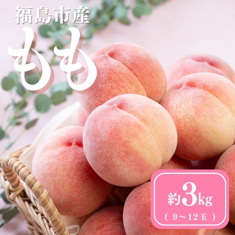 No.3061 道の駅ふくしま 福島市産もも 約3kg(9玉〜12玉)福島県福島市19000果物・フルーツもも・すもも
