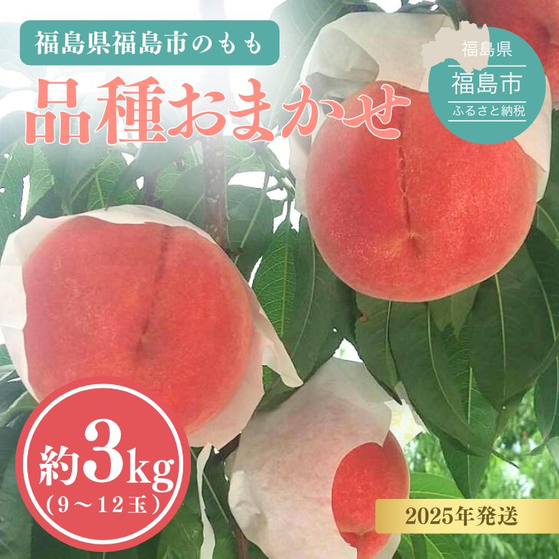 No.3113 ̓ 3kg(9`12ʁji킨܂y2025Nzs18000ʕEt[cE