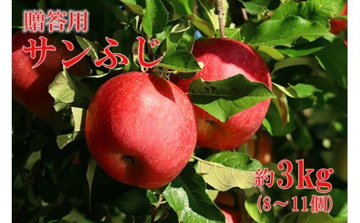 No.0787 りんご「サンふじ」約3kg化粧箱入【2025年度発送】福島県福島市13000果物・フルーツりんご・梨
