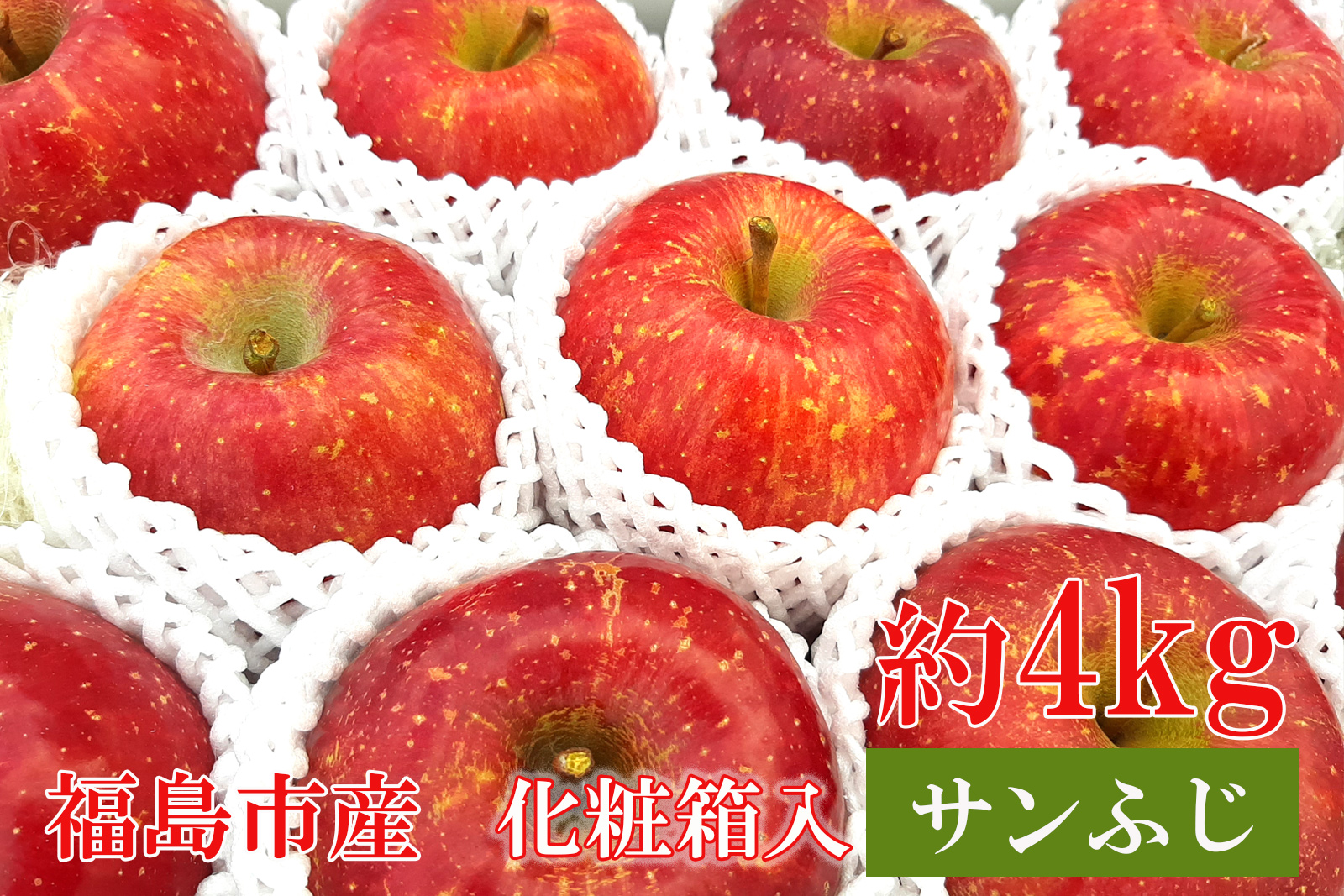 No.0945 ふくしまのりんご蜜姫「サンふじ」約4kg化粧箱入【2025年度発送】福島県福島市15000果物・フルーツりんご・梨