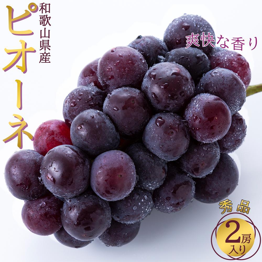 s\񁟘a̎RY sI[l 2[qGirm2025N8{ȍ~oׁnmMG26na̎R쒬15000ʕEt[c}XJbgEԂǂ