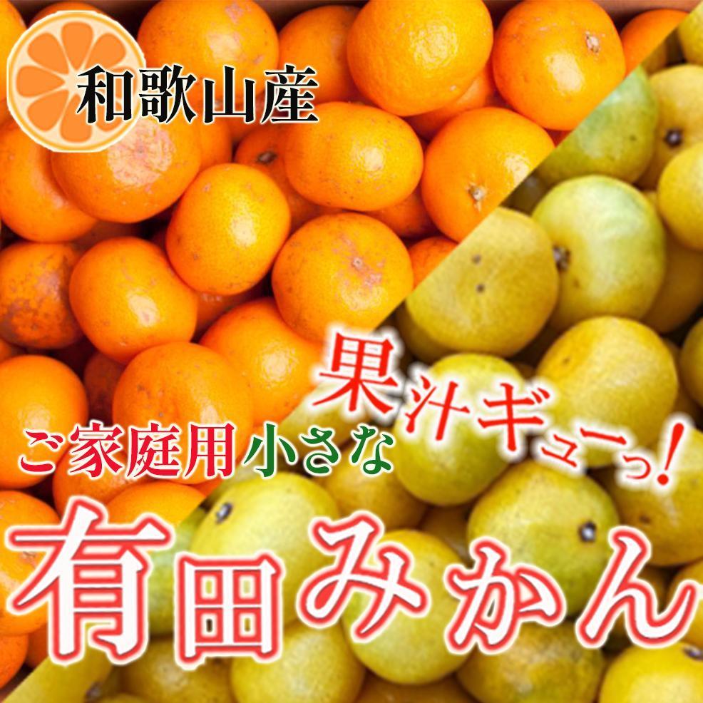 ƒp ȗLc݂2.5kg+250giݕ⏞jm2025N10{2026N1{\nmIKE246na̎R쒬9000ʕEt[c݂Ek