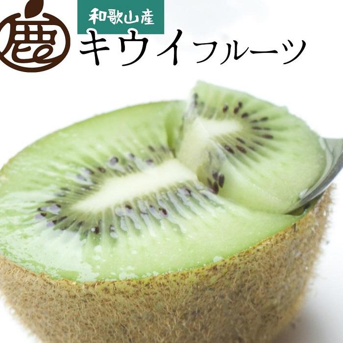 ms\nI LEC1kg+250giݕ⏞jyGʁzmIKE106na̎R쒬9000ʕEt[c̑ ʕEt[c