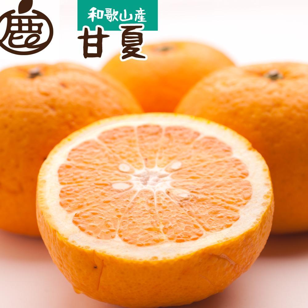 ms\nI ÉĊ5kg+250giݕ⏞jmĂ݂̂E{̉ʕnmLcYnmZT[H׍oׁnmIKE72na̎R쒬12000ʕEt[c݂Ek