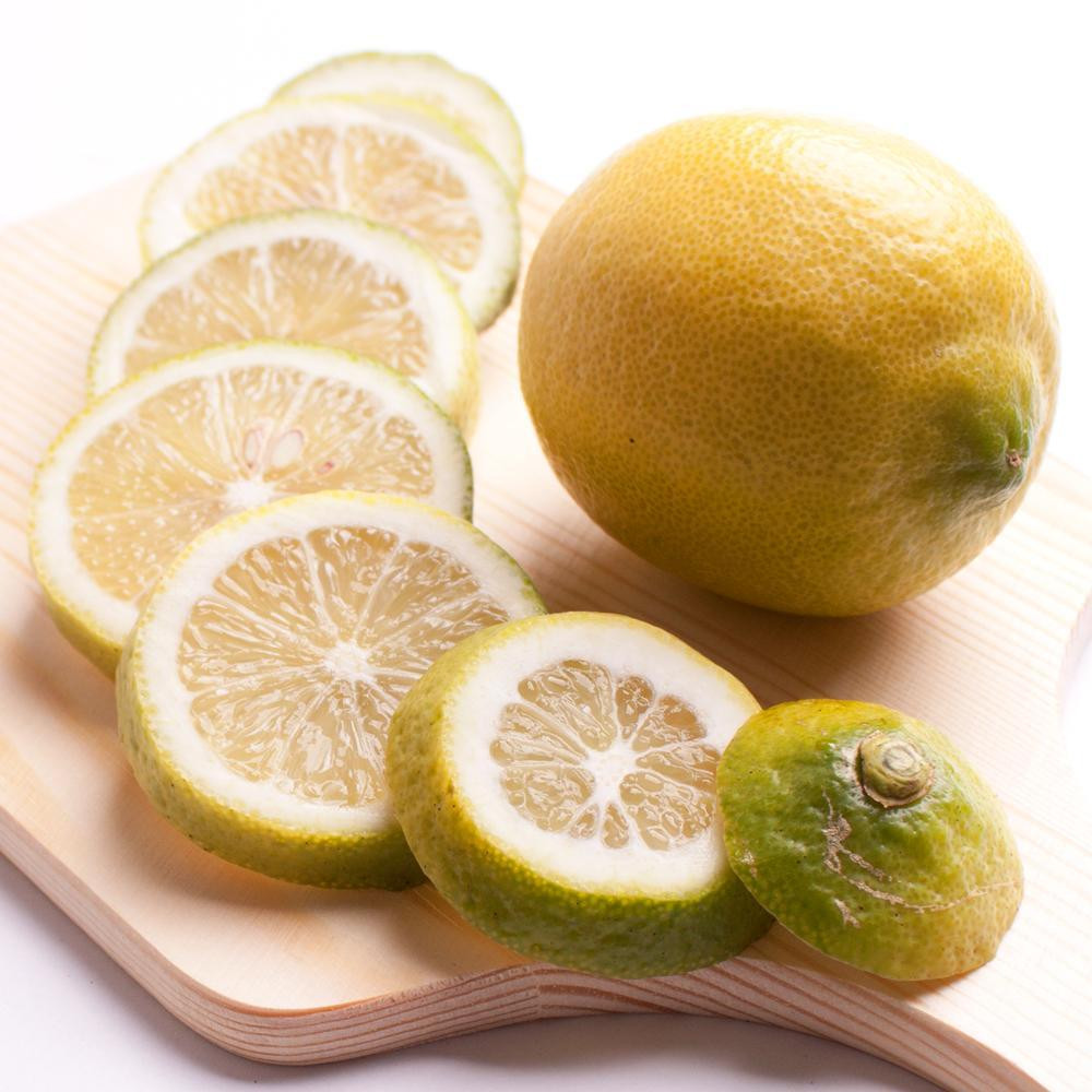 2.5kg+250giݕ⏞jya̎RLcYzyh܁EWAXsgpAS̍YzmIKE127na̎R쒬11000ʕEt[c݂Ek